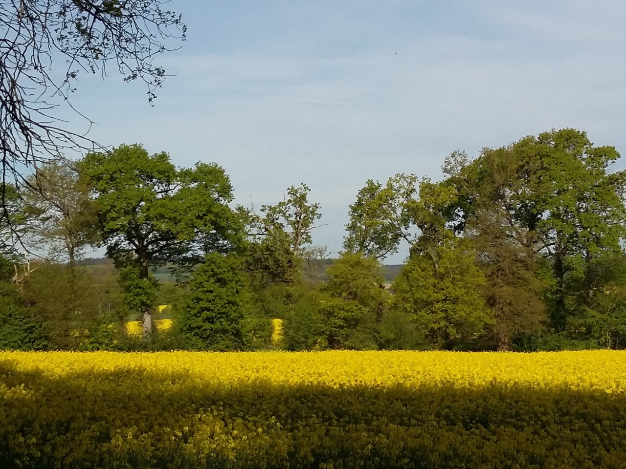 Couverture de 2016 - Comblessac (35)